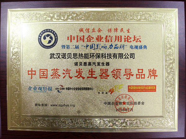 蒸汽发生器领导品牌证书
