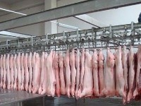 湖南长沙某屠宰公司主要经营畜禽屠宰工作，购诺贝思燃油蒸汽发生器用来刨猪毛使用案例
